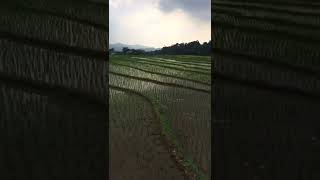 Download lagu MENTAHAN VIDEO QUOTES TERBARU TIKTOK TREND mp3