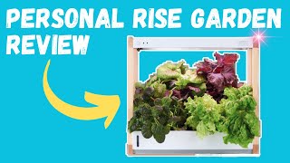 Reviewing my Personal Rise Garden after having it for 3 years | The Indoor Gardener