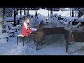 Carrie Plays: White Christmas ( Excerpts: John Bayless Transcription)