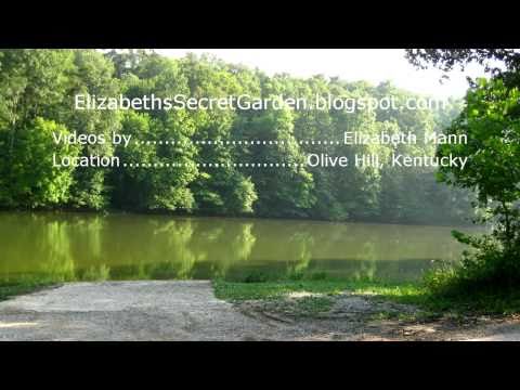 X Cave - Carter Caves State Resort Park Video 1