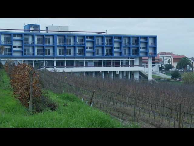 Polytechnic Institute of Coimbra video #1