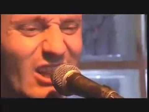 mickey finn & the blue men