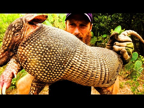 Hunting Armadillos for Dinner: Survival Cooking in the Wild (Start-to-Finish)
