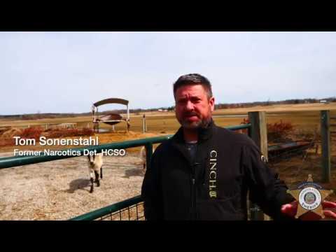 Hennepin County Sheriff's Office Drug-Sniffing Goat