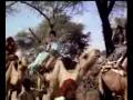 Aaj Phir Jeene Ki Tamanna Content Owned Or Licensed By Shemaroo Ent
