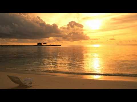 Magnetic Brothers, ID 49 feat. Ange - Bermuda (Tokyo Bay Cruise Remix)