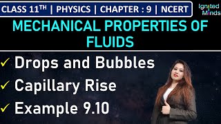 Class 11th Physics | Drops and Bubbles | Capillary Rise | Example 9.10 | Chapter 9 | NCERT