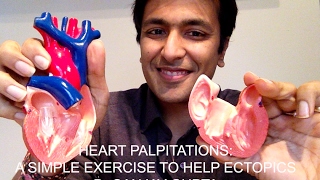 Heart Palpitations: A simple exercise to help ectopic heart beats