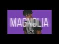 Magnolia Clean