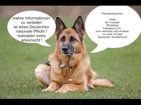 download lagu mp3 mp4 Pseudodeutscher, download lagu Pseudodeutscher gratis, unduh video klip Pseudodeutscher