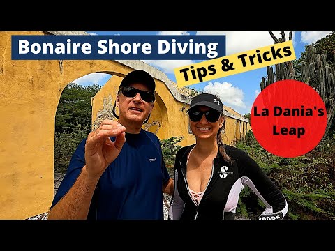 Bonaire Shore Diving Tips & Tricks - La Dania's Leap!