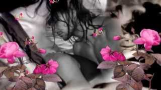 QUE NO SE ROMPA LA NOCHE - JULIO IGLESIAS (Romanticos De Siempre)