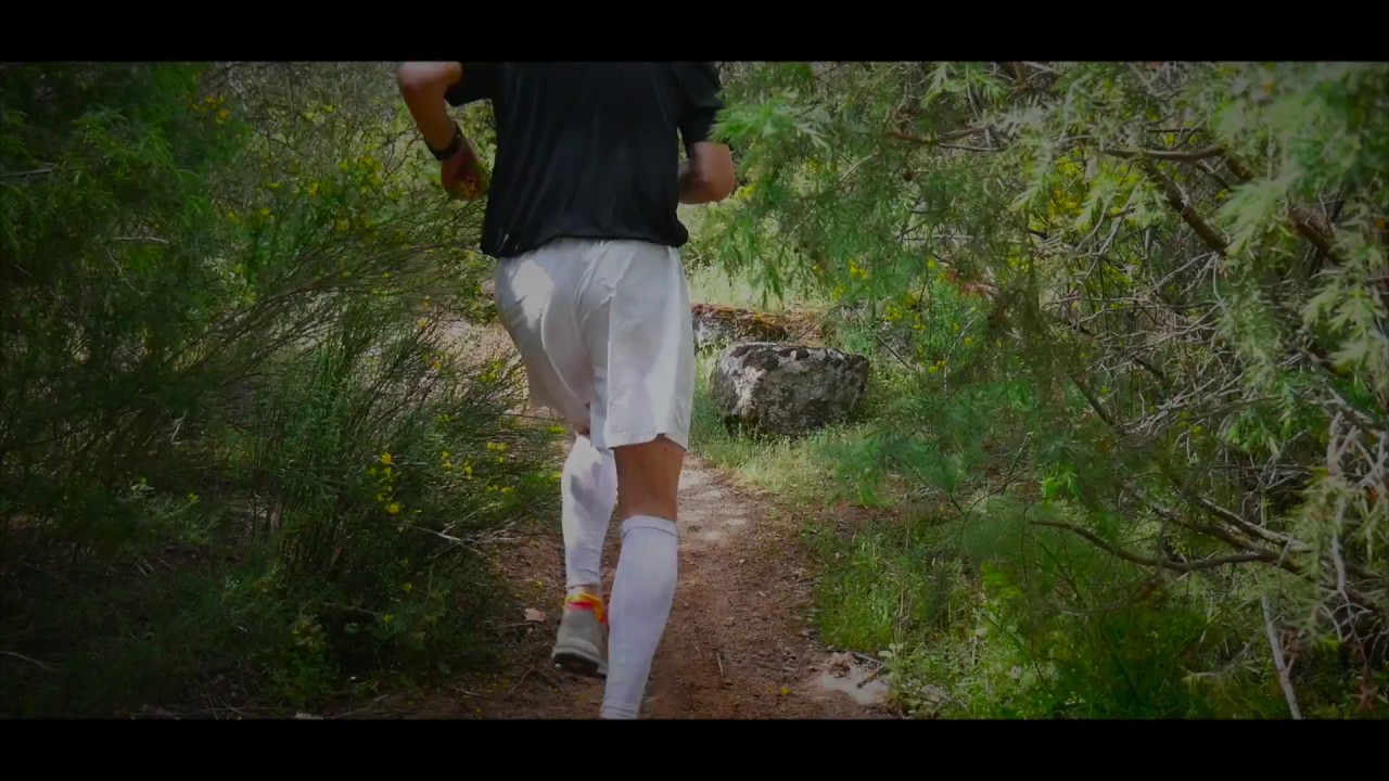 INTRO CIGARRA TOLEDANA 2018