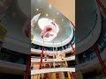 Shyaway Launches Its Store At VR Mall Chennai In Style Shyawayshop Innerwear Private Chennai