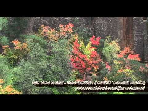 Nic von Tribe - Sunflower (Tarmo Tammel Remix)