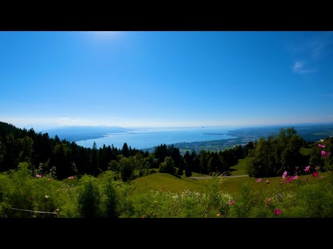 Mountainbike Tour Lindau-Eichenberg-Pfänder-Lindau