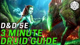 3 Minute Guide to the Druid Class in D&D 5e