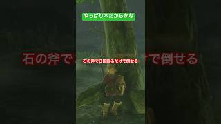 【 #ゼルダの伝説ティアーズオブザキングダム 】地上歩く時は手持ちに一本斧もつと便利かも