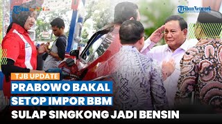 Jika Terpilih Jadi Presiden, Prabowo Berencana Bakal Setop Impor BBM, Mau Sulap Singkong Jadi Bensin