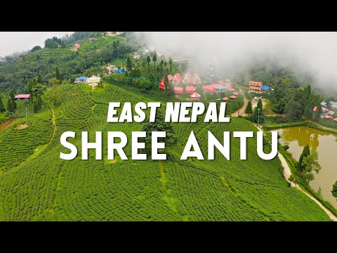 SHREE ANTU (श्री अन्तु) - ILAM | EAST NEPAL | SANDAKPUR - PART II | S02E03
