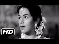 Baghon Mein Baharon Mein - Bollywood Peppy Romantic Song - Chhoti Bahen - Balraj Sahani, Nanda
