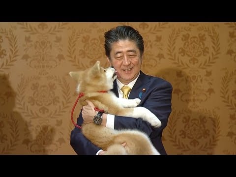 Japan's Abe oversees puppy handover to Russian Olympic champion