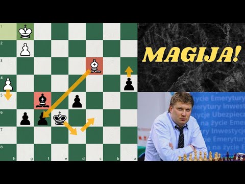 Najbolji potez u istoriji saha?