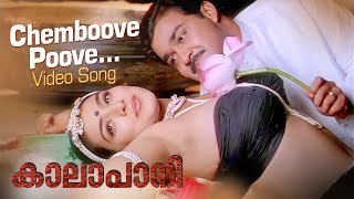 Chemboove Poove Video Song  Kaalapani  KS Chithra 