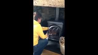 Stove chimney bird rescue! Starling had fallen down the chimney and was pecking at the glass!