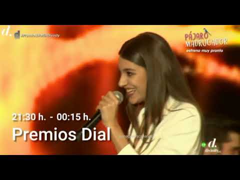 Desde que te vi. David Bustamante y Ana Guerra. Premios Dial 2019