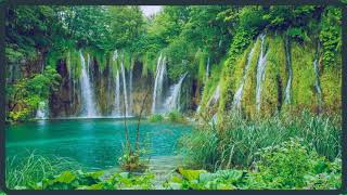 Music of Relaxation | Positive Music, Study Music, Deep Focus  #5