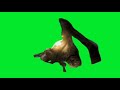 Cloverfield Monter Green Screen 2