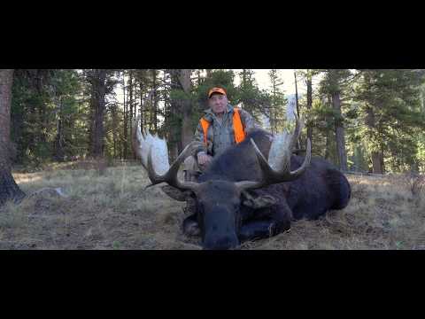 Moose Hunting Videos