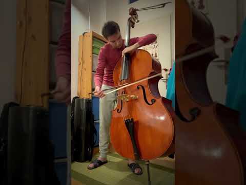 M. Gajdoš - Capriccio