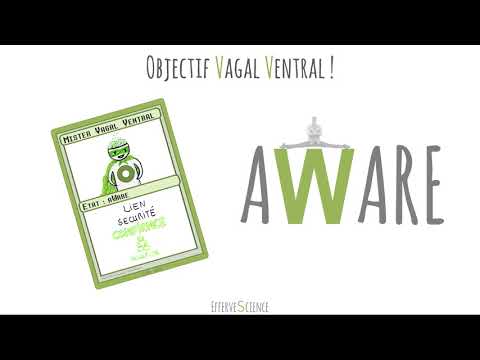 Once upon a time... there was TPV (Polyvagal Theory)