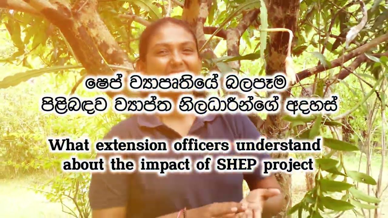 What extension officers understand about the impact of SHEP Project