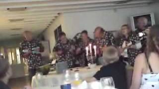 playmountain Ukulele Orchestra 2