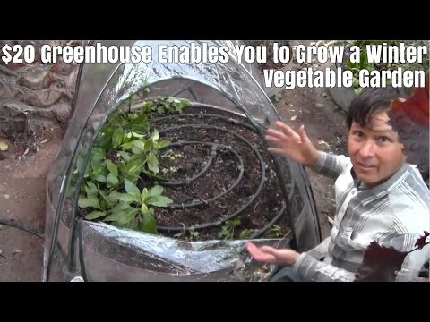 Low Cost $20 Greenhouse Enables You to Grow Winter Vegetables in a Raised Bed Garden