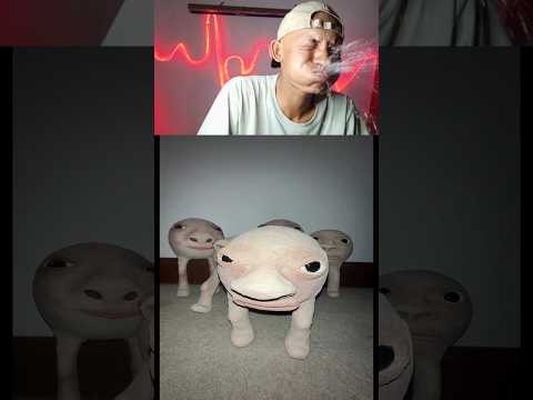 Try Not Laugh 137 😅