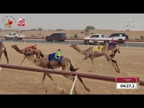  ش 7 (عيه) لـ علي خلفان الشاوي الغفلي 9:51 , شارة الديوان 3 2026/10/07 ثنايا اللبسه    