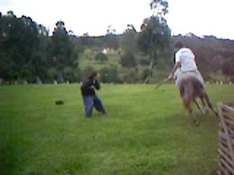 ginetiada do Ginete de apartamento ( Renato )