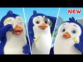 Baby Penguin Got A Boo Boo Song Penguins Songs For Kids FunForKidsTV Nursery Rhymes
