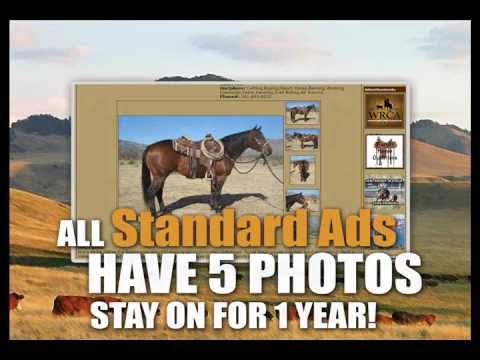 Ranch World Ads