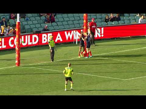 Anthony Wilson (Norwood) kicks 4 goals - 2nd Semi Final