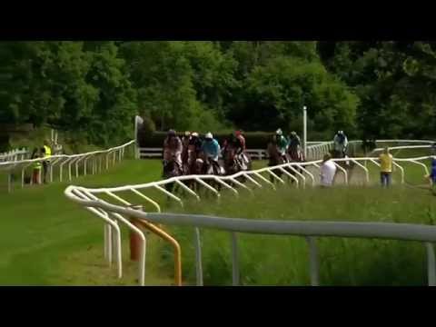 2014.06.15 Svenskt Champion Hurdle - Calvados