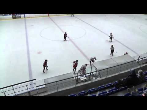 U12 239 Vasas SC - Dunaújvárosi Acélbikák  3. harmad