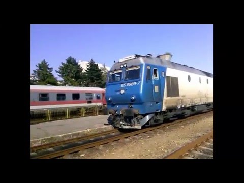 Activitate De Seară În Baia Mare