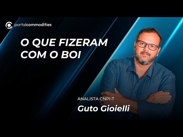 O que fizeram com o boi