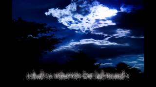 PTSD - Break the silence