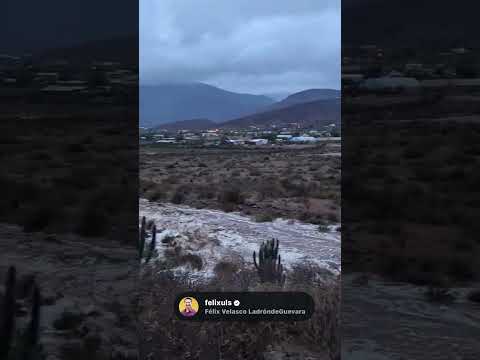 Quebradas bajando en el manzano comuna de Andacollo